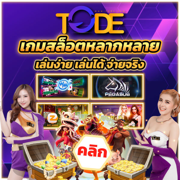 เวป tode (โต๊ด)